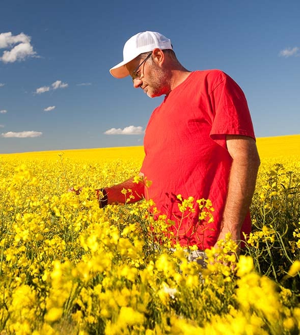 Helping you create your legacy