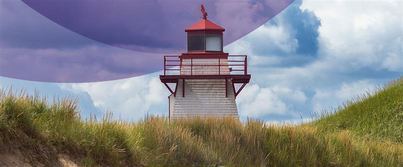 insight featured image