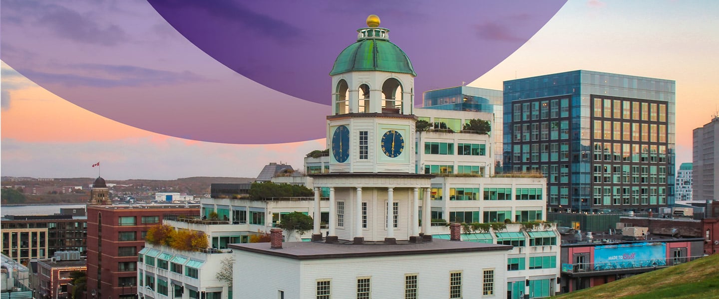 insight featured image