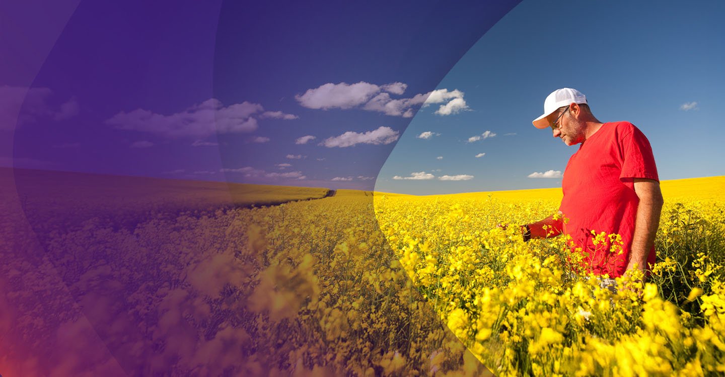 In Canada. For Canada.