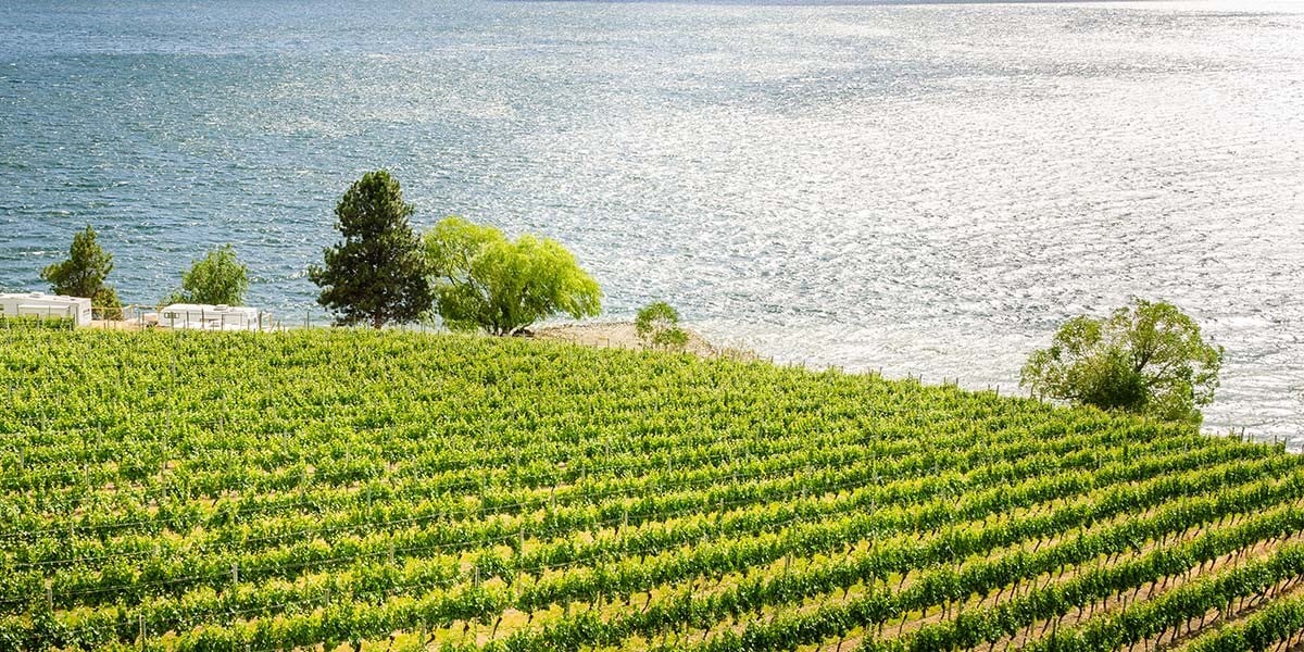 Learn more about how supported two tremendous organizations in the Okanagan, B.C.