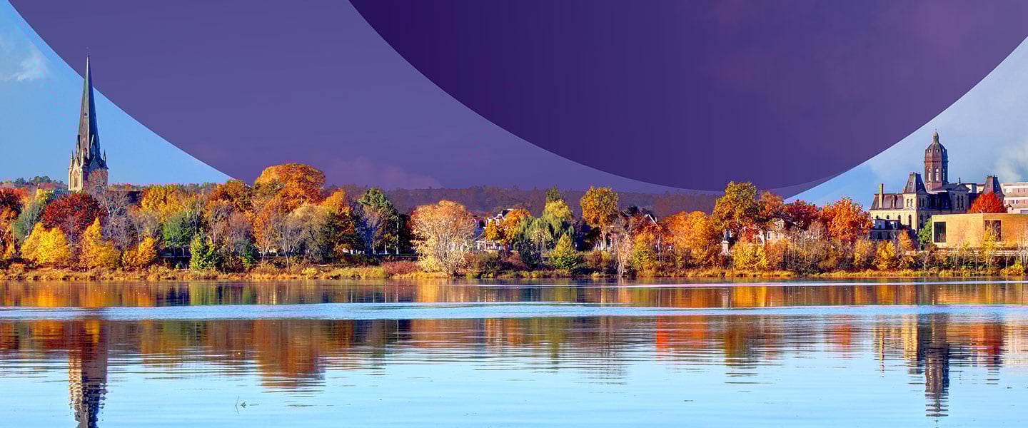 insight featured image