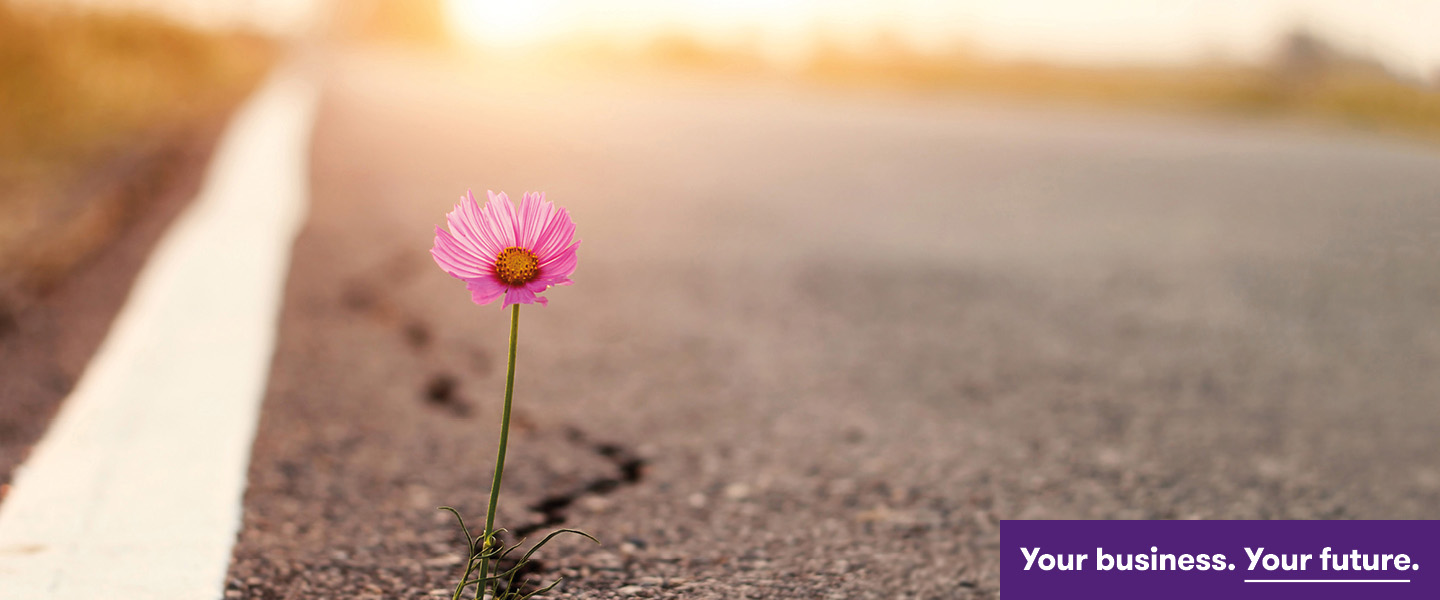 insight featured image