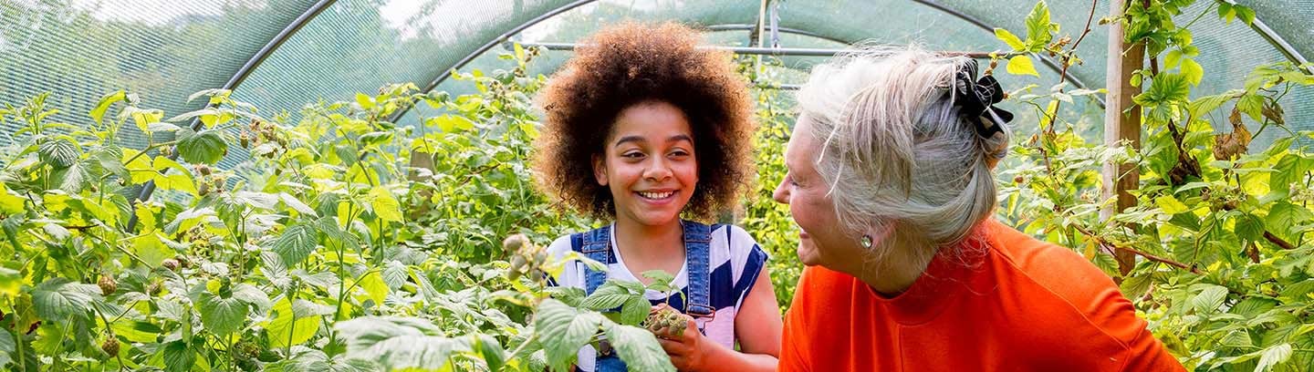 Charities and not-for-profit seminar series