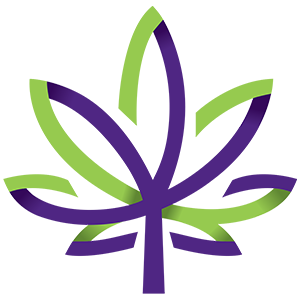 rich text with image