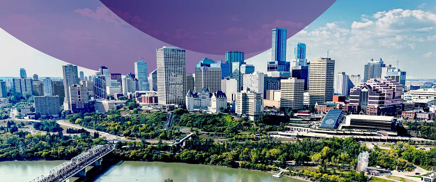 insight featured image