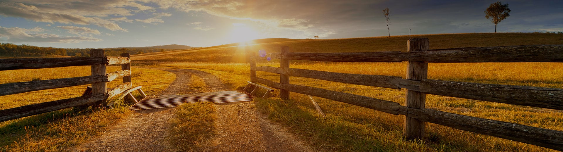 Doane Grant Thornton Brooks