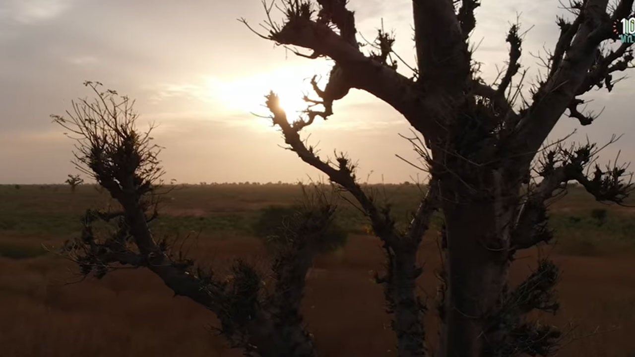 Understanding the options to protect your cannabis business