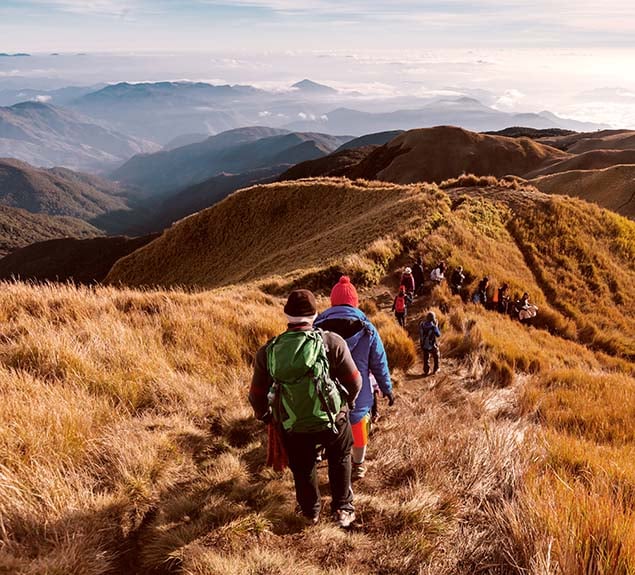 Uncovering opportunities for overseas investment and growth