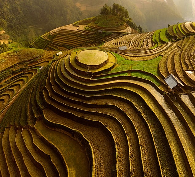 How to compete through your supply chain