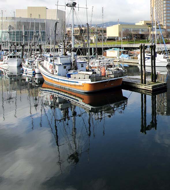 Trevor Topping, Aaron Dovell and their team from Smythe LLP in Nanaimo join Doane Grant Thornton LLP