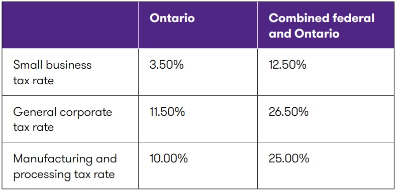 ON Budget_table 2.jpg