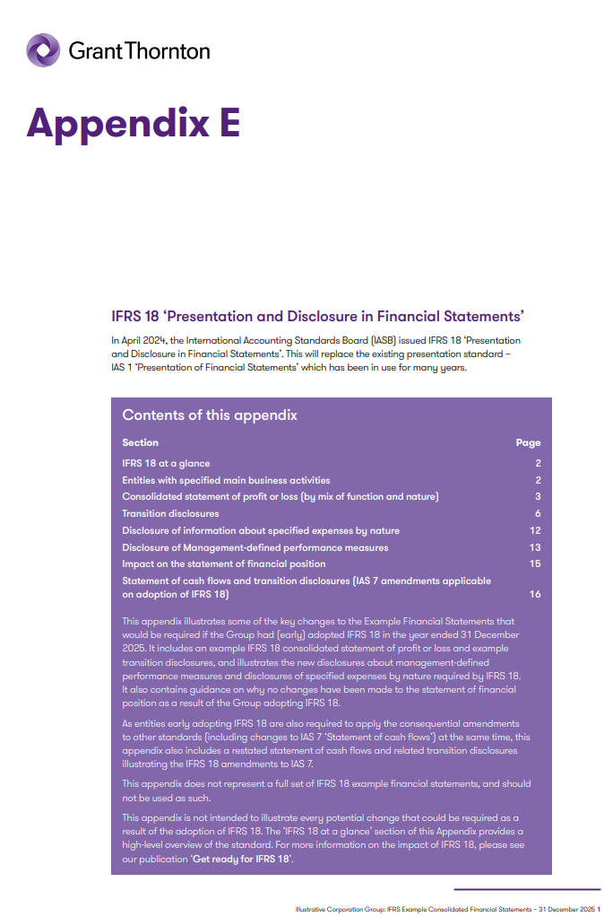 Example Consolidated Financial Statements 2025