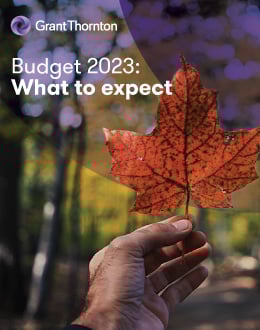 Download the PDF version of our pre-budget insights and analysis