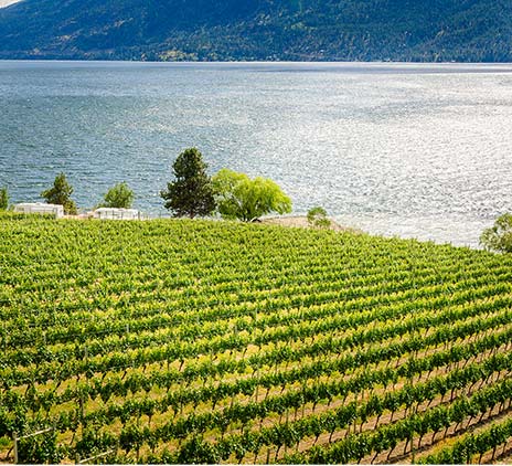 Supporting families in the Okanagan