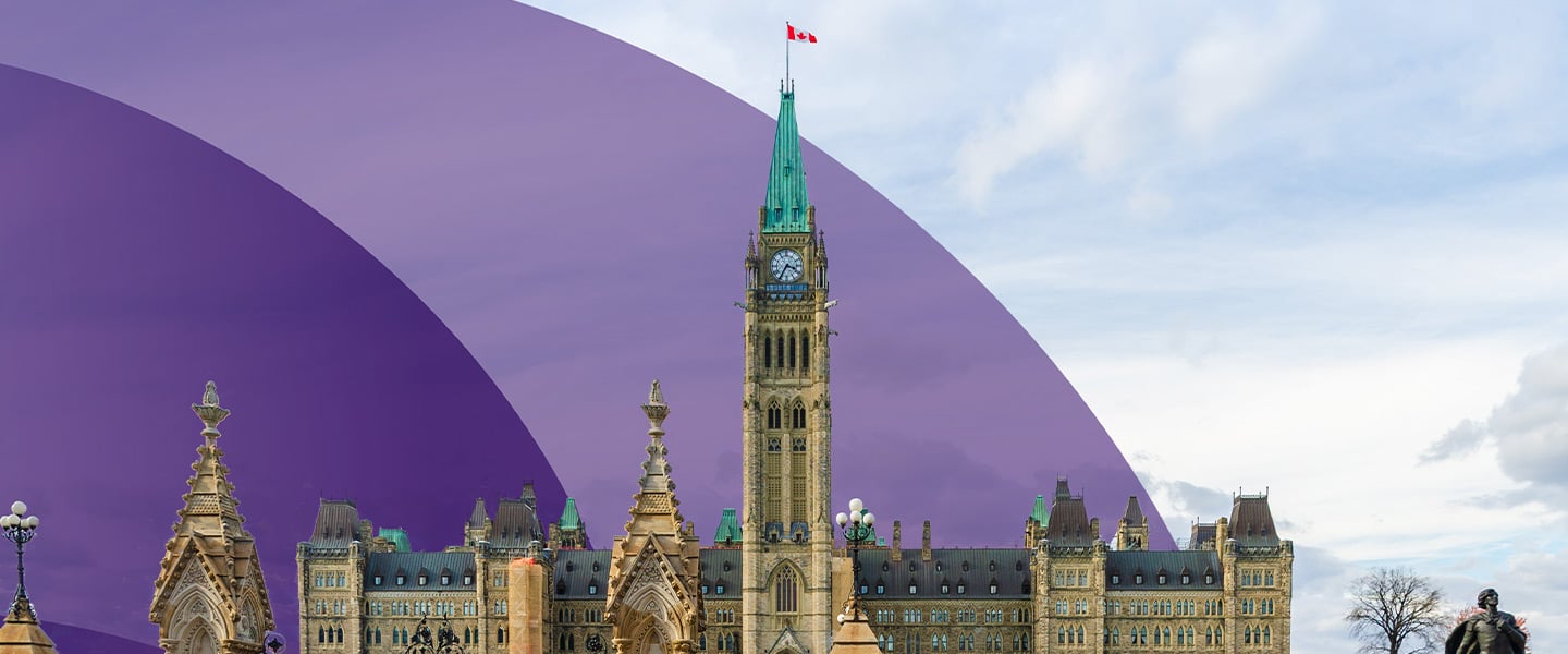 insight featured image