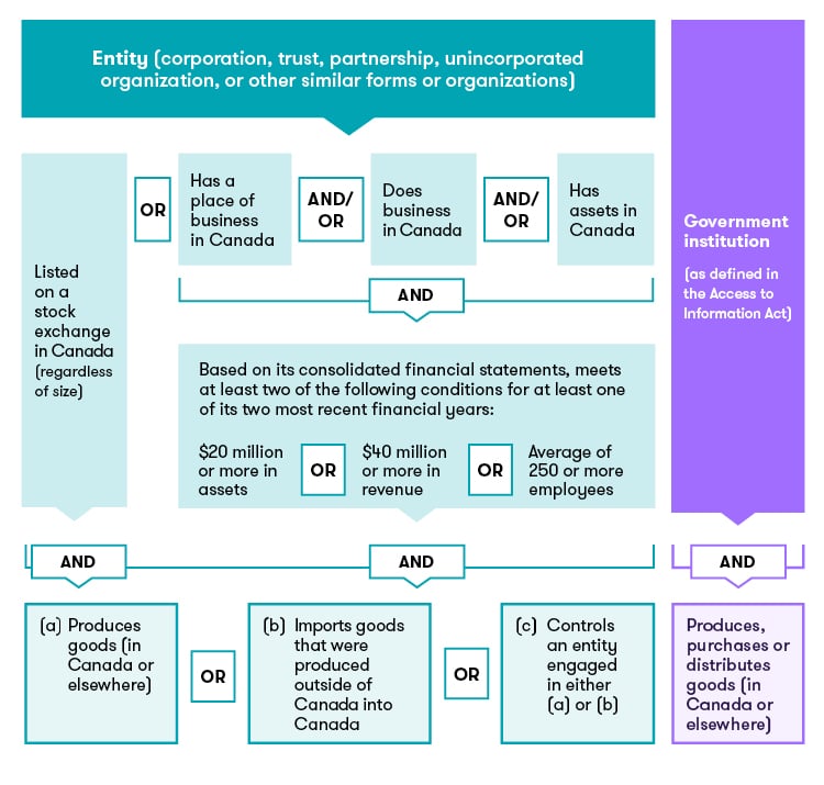 Modern Slavery Act Flowchart