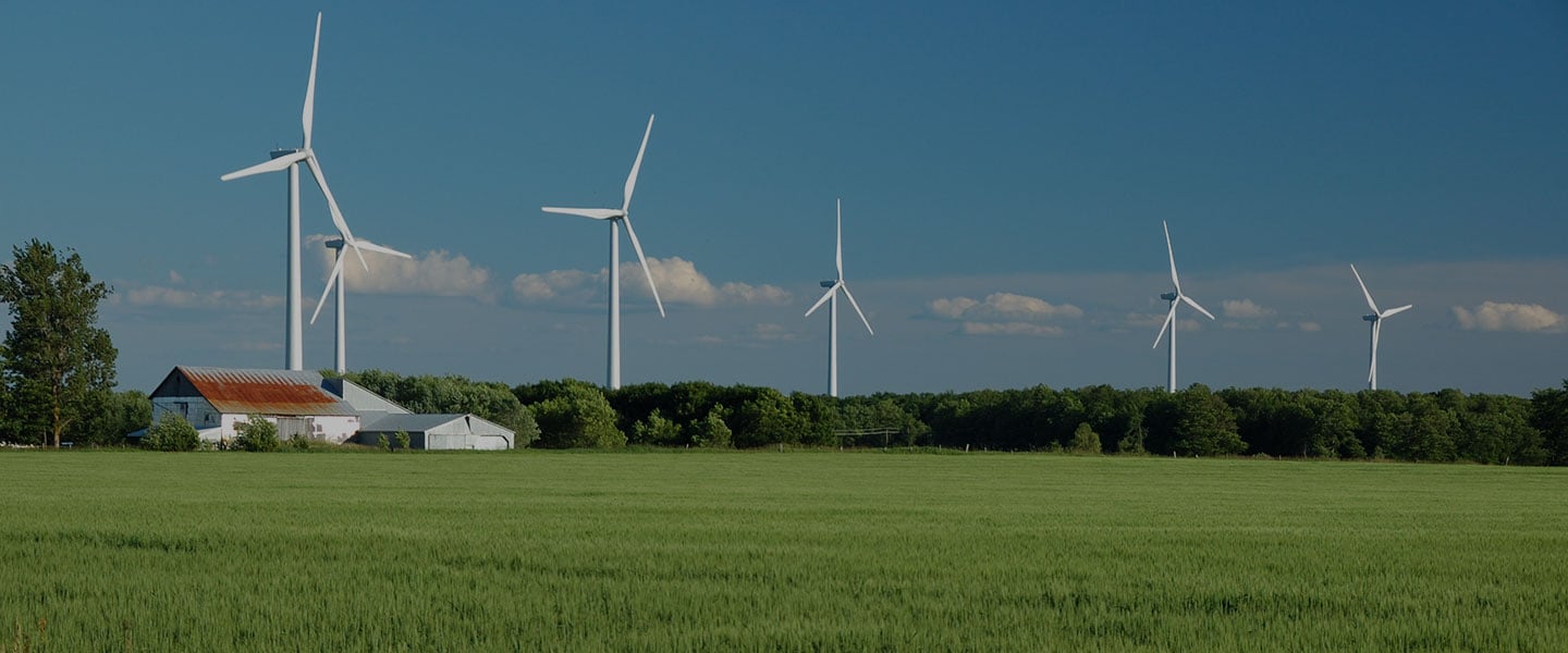 Doane Grant Thornton Alliston